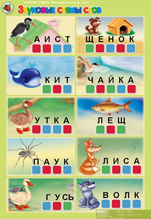Звуковые схемы слов