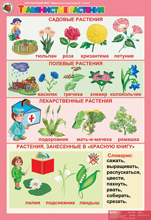 Травянистые растения