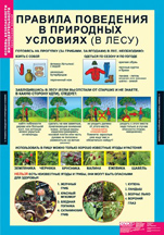 Правила поведения в природных условиях (в лесу).
