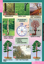Ориентирование. Стороны горизонта. 