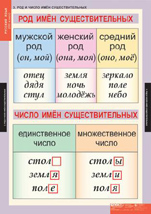 Род и число имен существительных
