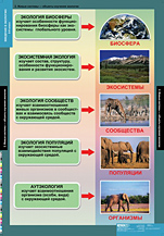 Живые системы – объекты изучения экологии. 