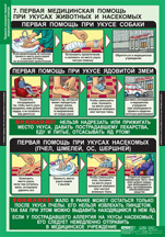 Первая медицинская помощь при укусах животных и насекомых